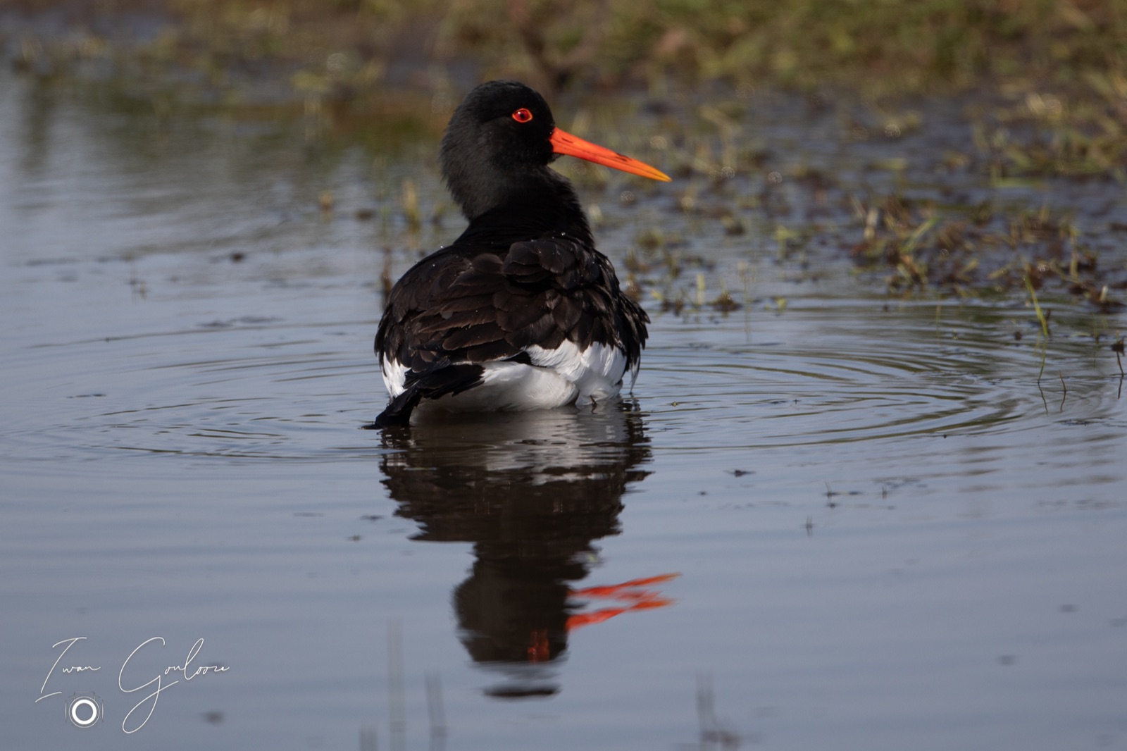 16 april 2022 165428  5D46166